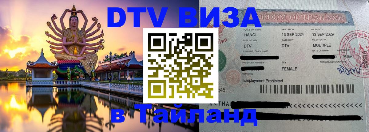 Оформление DTV визы под ключ: стоимость и тарифы, только загранпаспорт - 